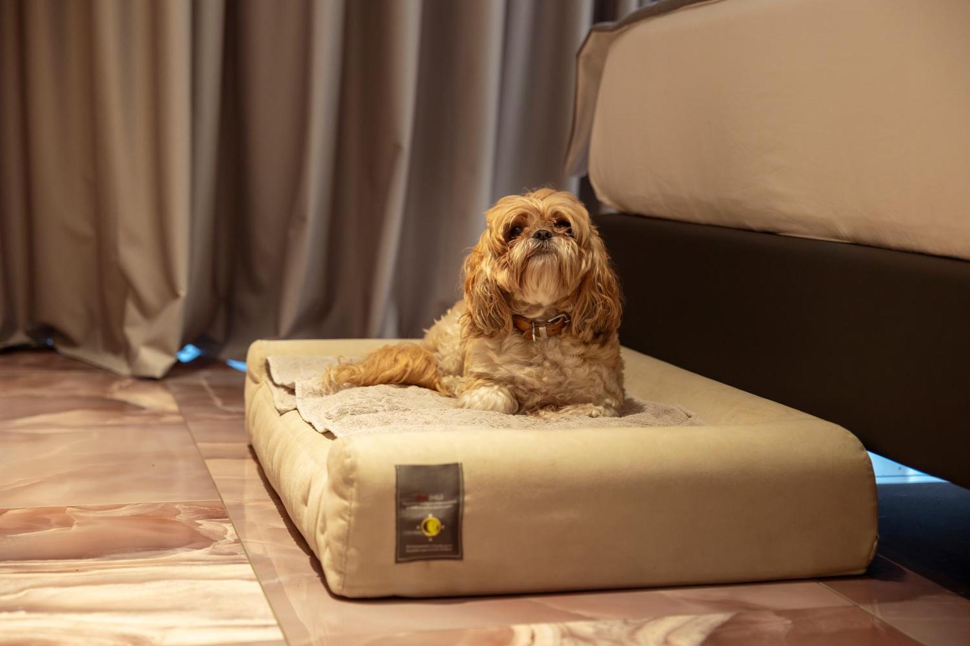 Boutique Hotel シルミオーネ エクステリア 写真